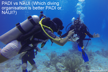 PADI vs NAUI - Which diving organisation is better PADI or NAUI