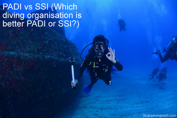 PADI vs SSI - Which diving organisation is better PADI or SSI
