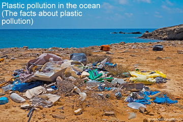 Plastic pollution in the ocean - The facts about plastic pollution small