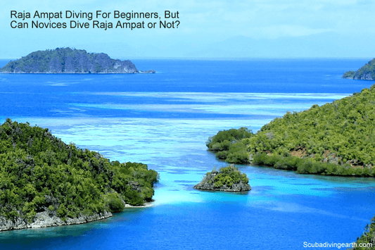 Raja Ampat Diving For Beginners (Can Novices Dive Raja Ampat or Not?)