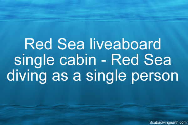 Red Sea liveaboard single cabin - Red Sea diving as a single person