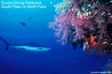 Scuba Diving Fakarava South Pass vs North Pass small