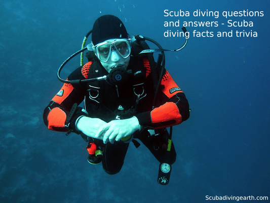 Scuba Diving Questions And Answers (Scuba Diving Facts And Trivia)
