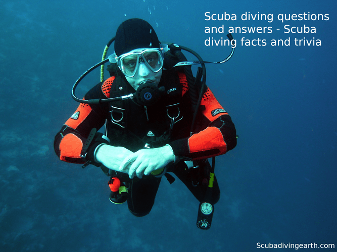 Scuba Diving Questions And Answers (Scuba Diving Facts And Trivia)