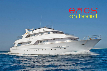 Seawolf Diving Safari Boats - Red Sea Dive Safaris small