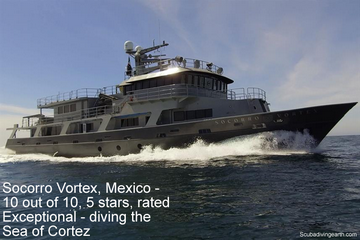 Socorro Vortex, Mexico - 10 out of 10, 5 stars, rated Exceptional - diving the Sea of Cortez small