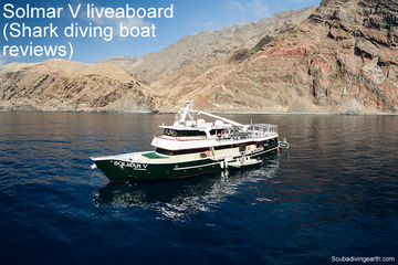 Solmar V liveaboard - Shark diving boat reviews small