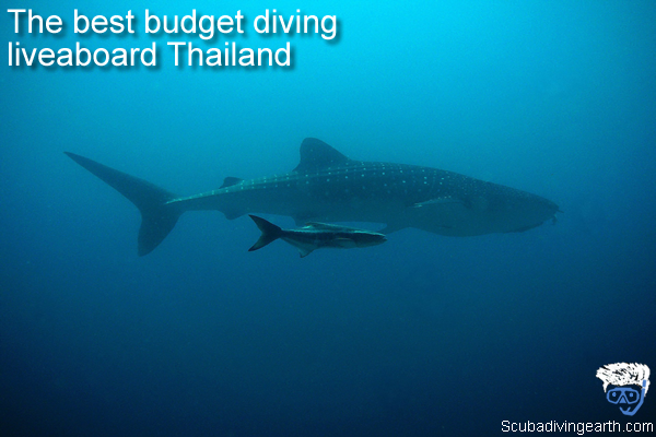 The Best Budget Diving Thailand Liveaboards (6 Cheap Thailand Liveaboards)