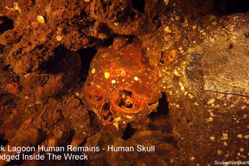 Truk Lagoon Human Remains - Human Skull Wedged Inside The Wreck small