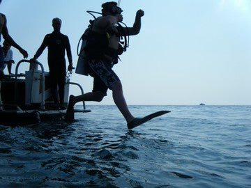 What Is A Negative Entry In Diving - stride entry small