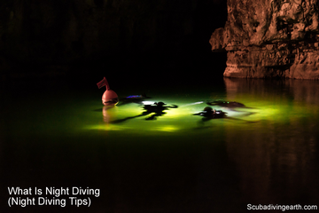 What Is Night Diving Night Diving Tips small