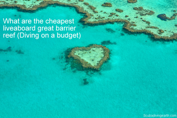 What are the cheapest liveaboard great barrier reef - Diving on a budget small