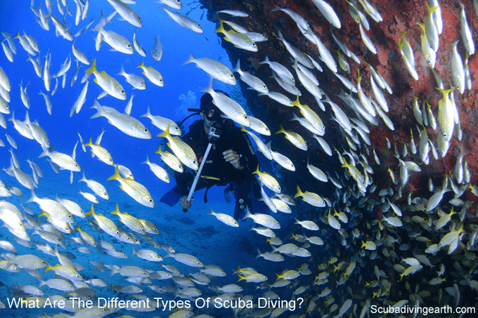 What Are The Different Types Of Scuba Diving? (What’s Best For You?)