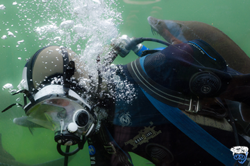 What causes dry suit squeeze