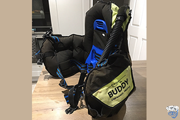 What does BCD stand for in scuba diving