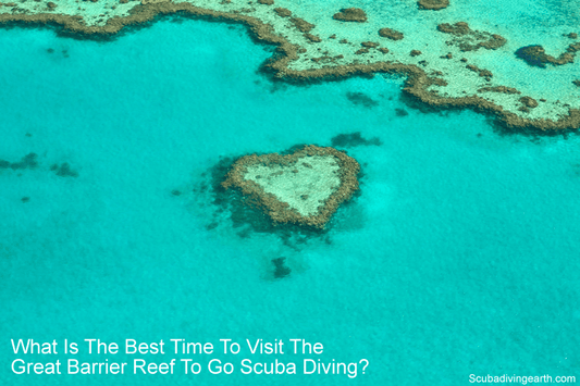 What Is The Best Time To Visit The Great Barrier Reef? (For The Best Diving)