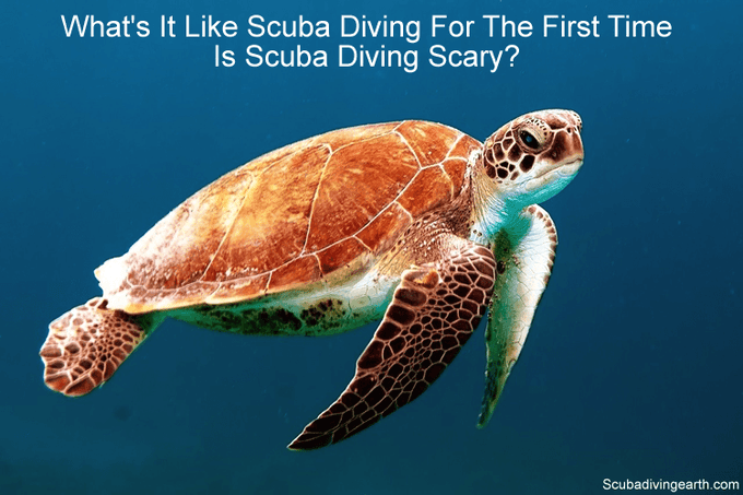 what's it like scuba diving for the first time