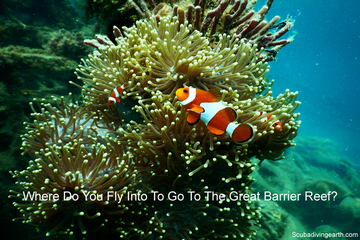 Where do you fly into to go to the Great Barrier Reef small