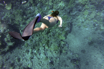How far underwater do you go when snorkeling small