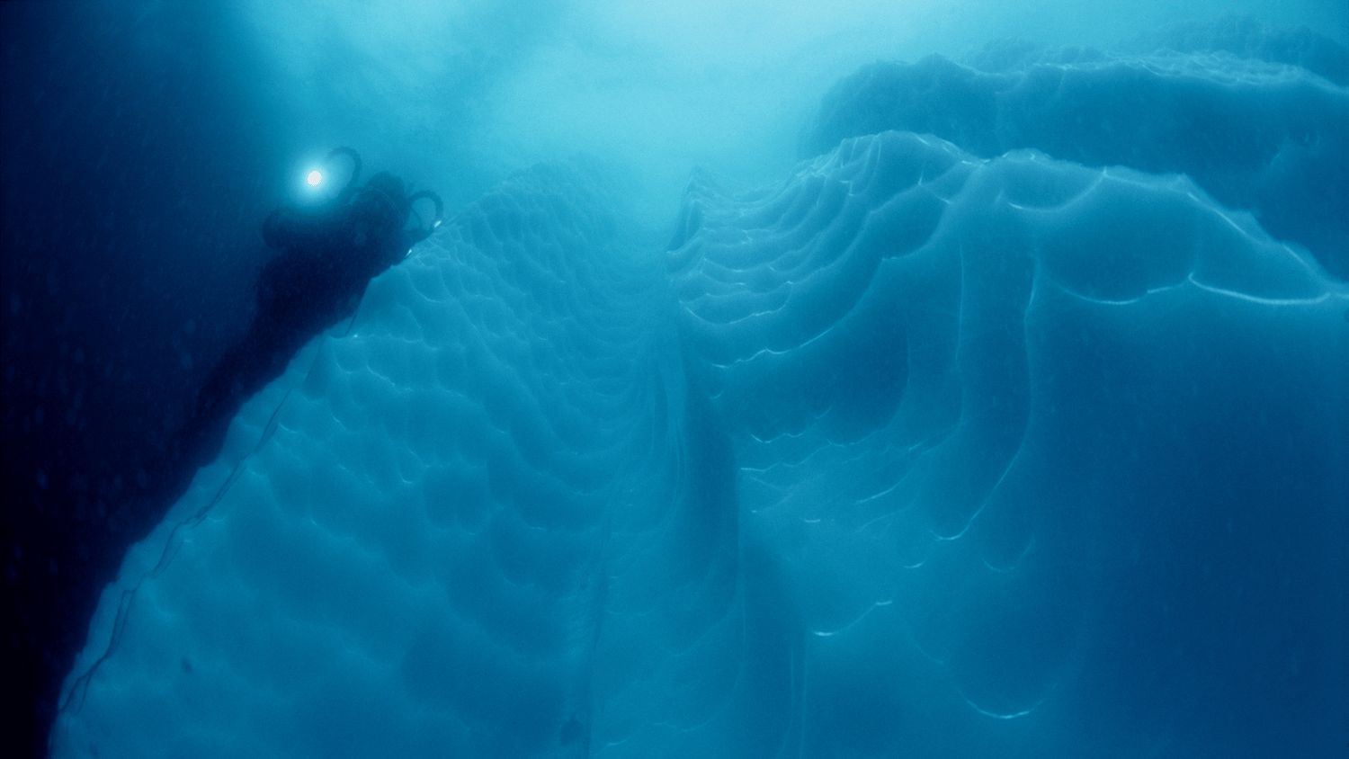 Antarctica Liveaboard Diving