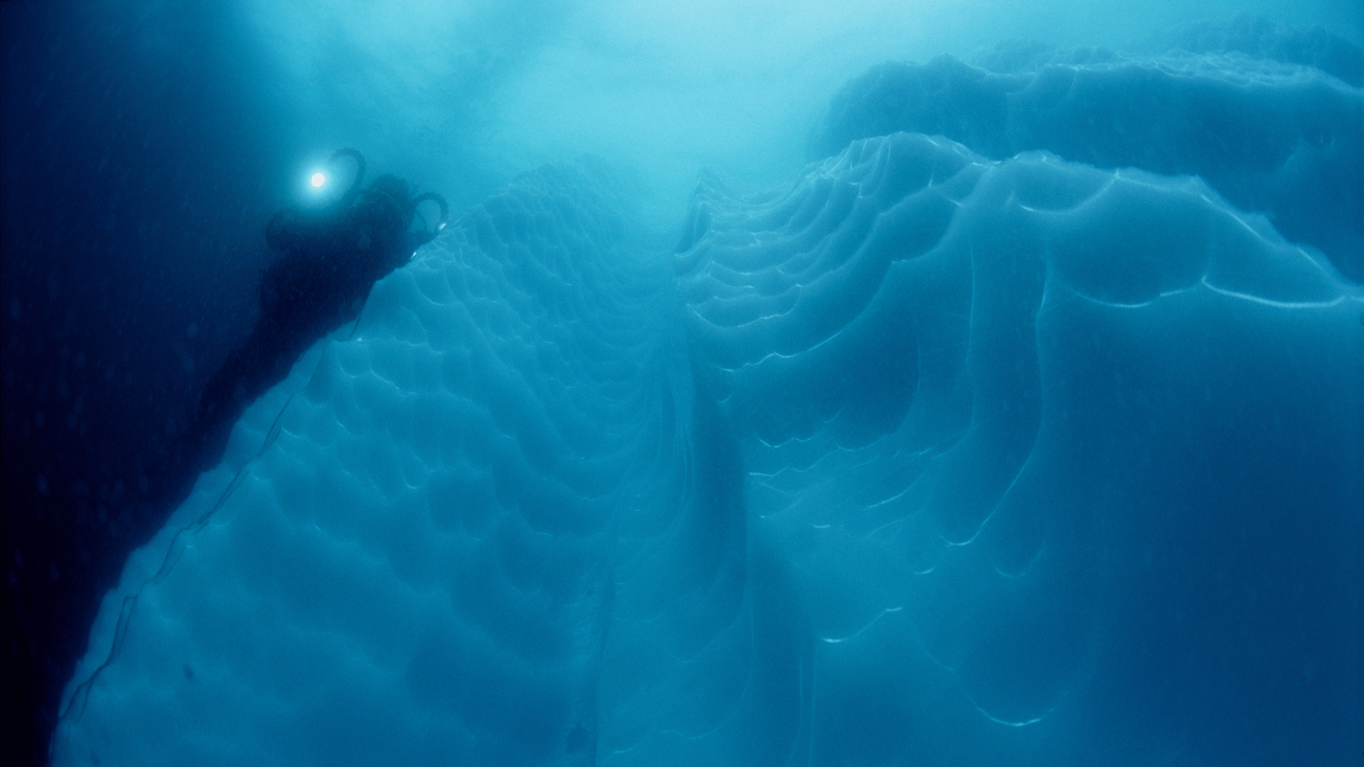 Antarctica Liveaboard Diving