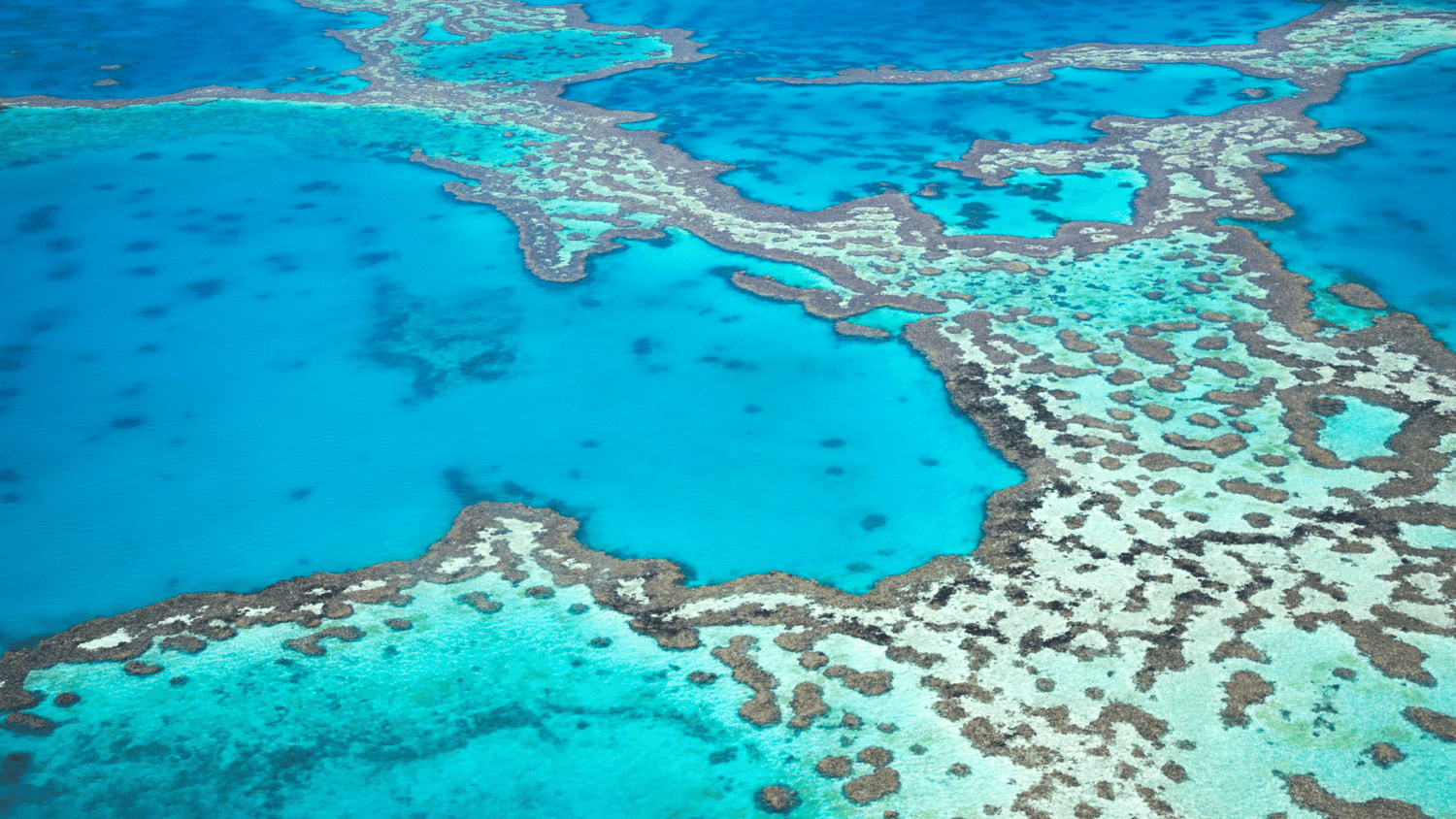 Australia Liveaboard Diving