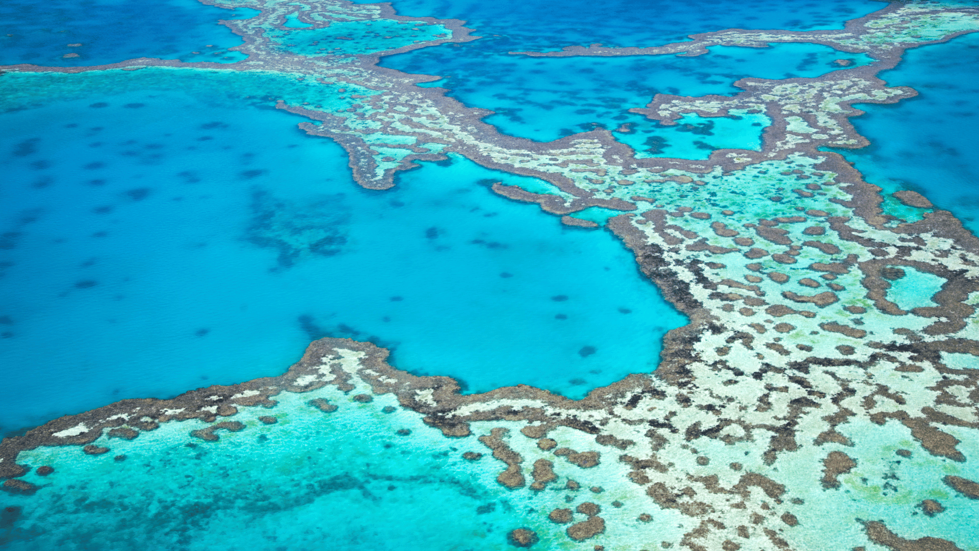 Australia Liveaboard Diving
