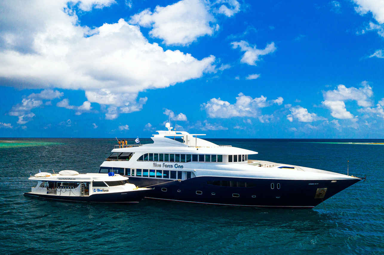 Dive Liveaboards With Free Private Guide Onboard - Blue Force One Liveaboard