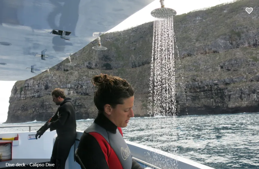 Liveaboards With Warm Water Showers Onboard - Calipso Dive Liveaboard
