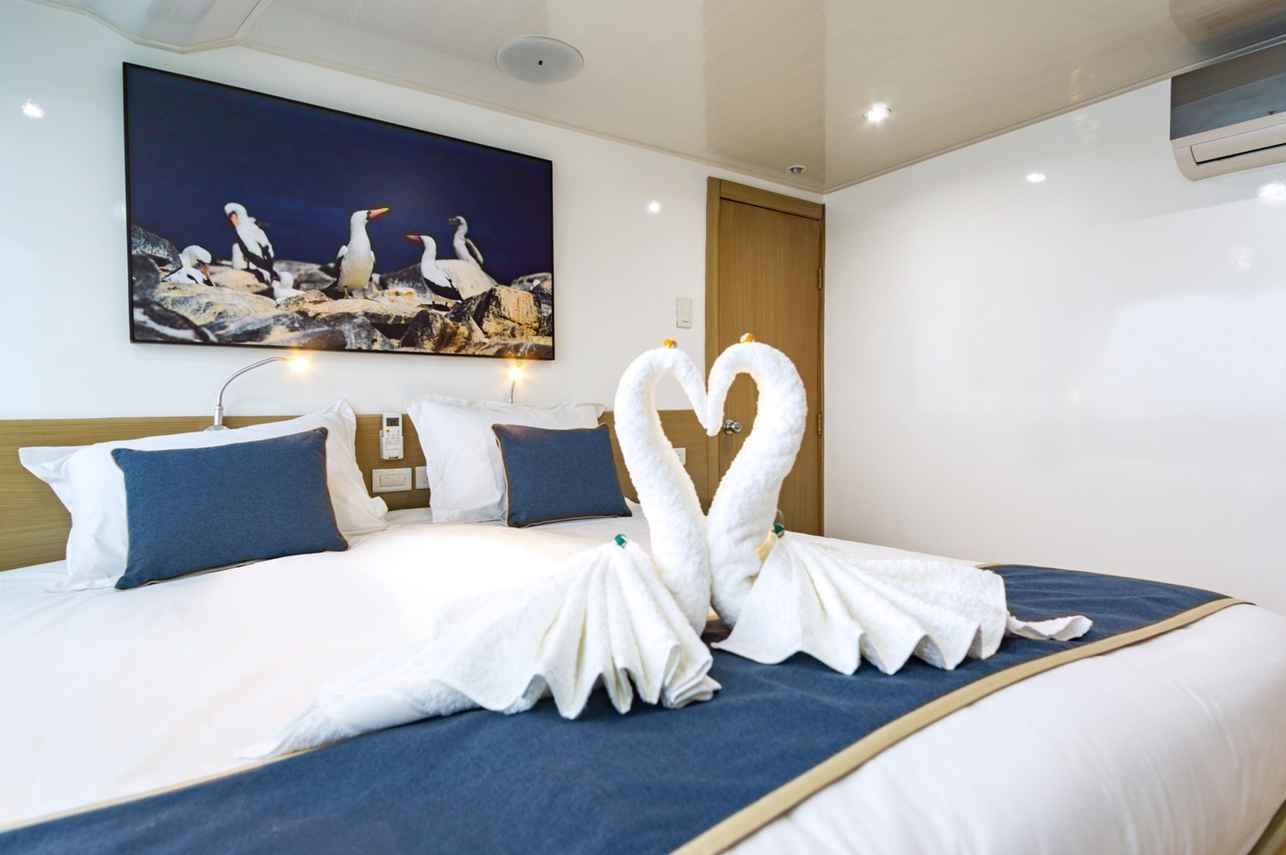 Dive Liveaboards That Provide Daily Housekeeping - Calipso Dive Liveaboard