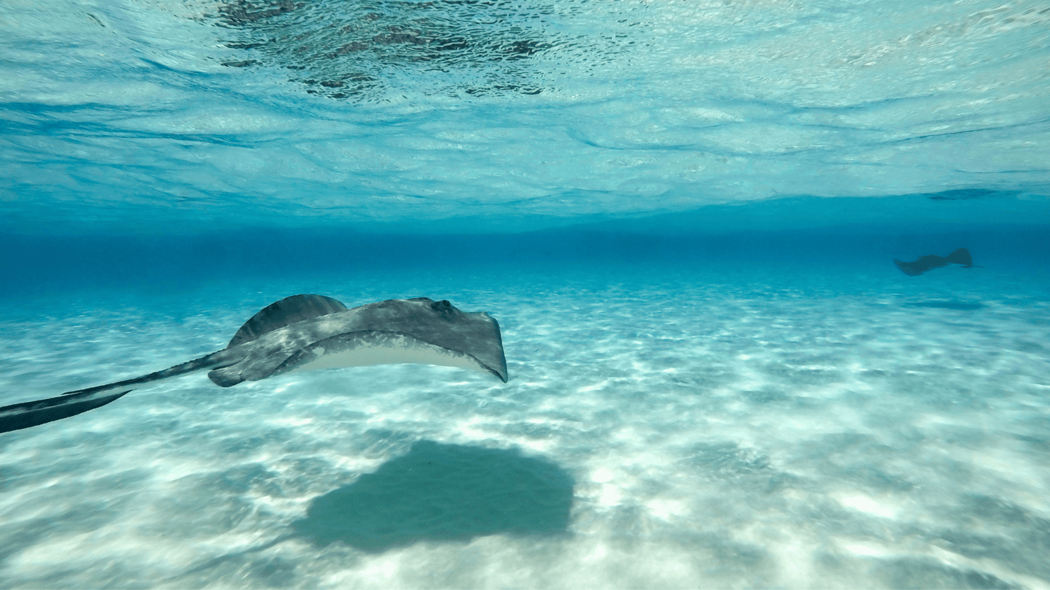 Cayman Islands Liveaboards