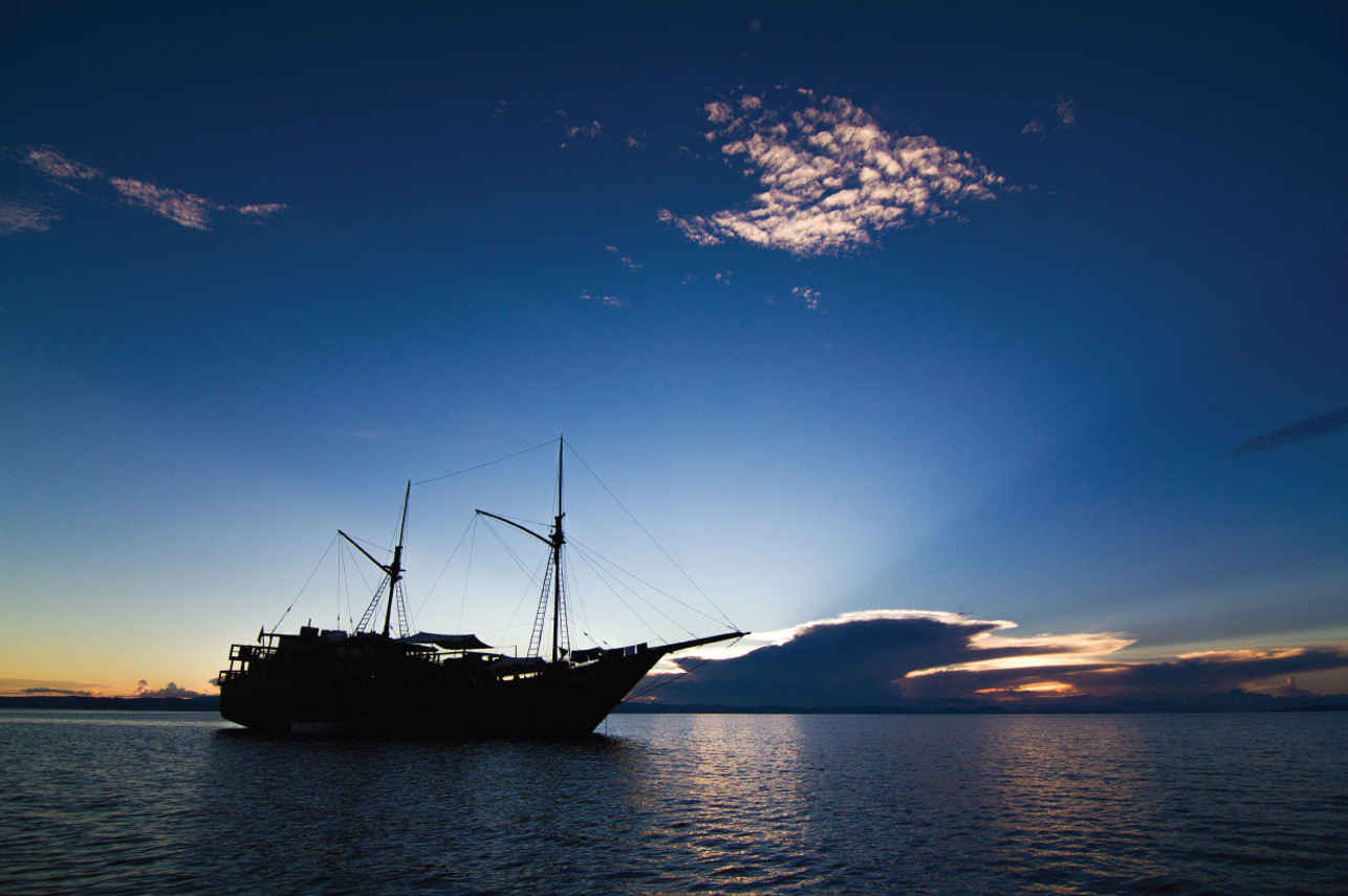 Dive Liveaboards That Include Diving