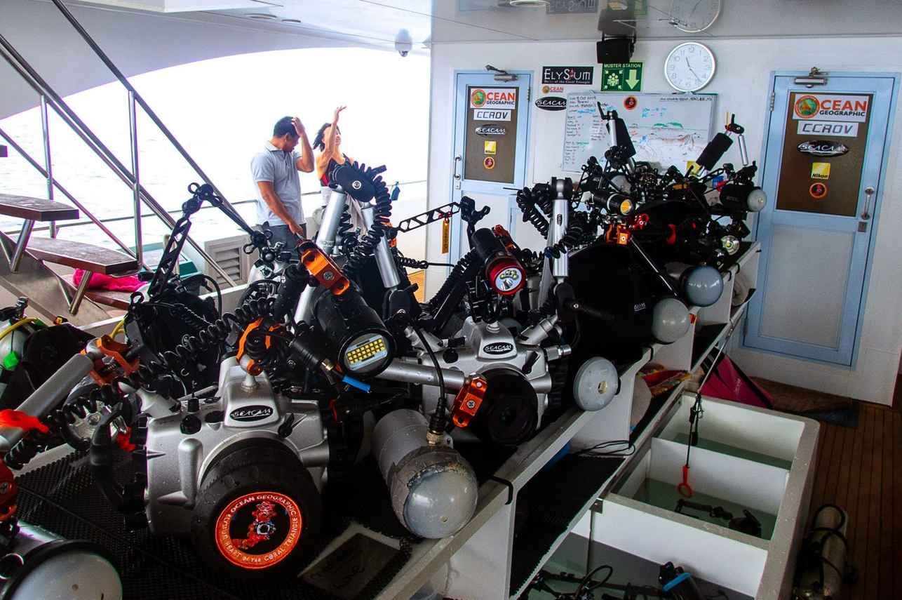 Collection of Dive Liveaboards With a Seperate Rinse Area For Underwater Cameras Onboard - Gaia Love Liveaboard