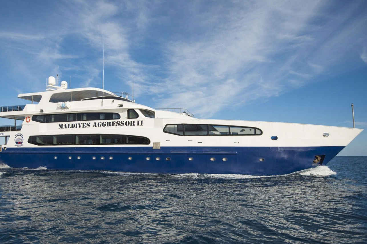 Best Dive Liveaboards That Are All Inclusive