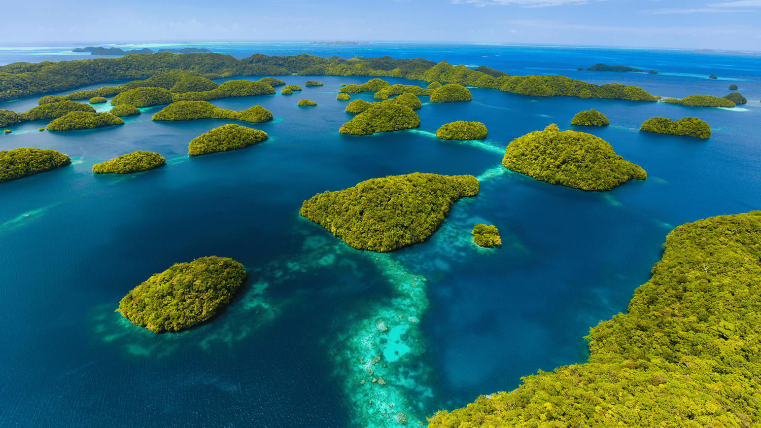 Micronesia Liveaboard Diving