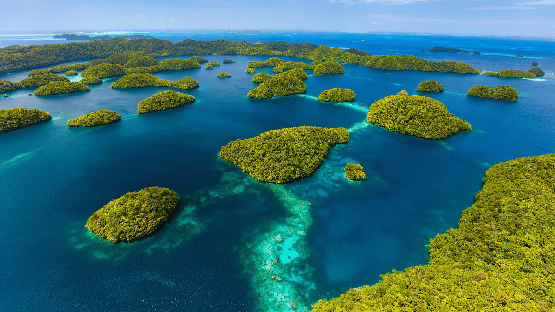 Micronesia Liveaboard Diving