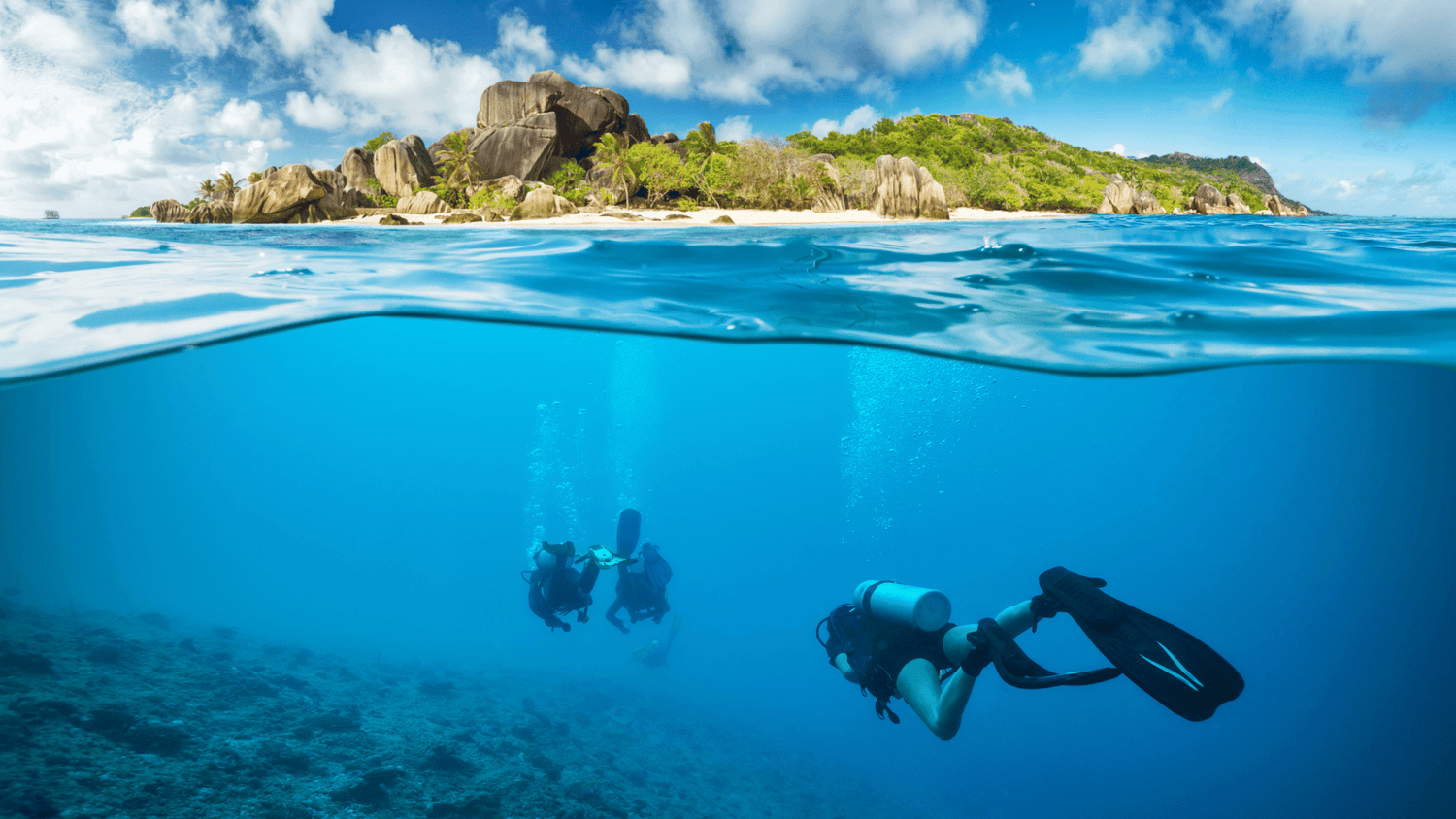 Seychelles Liveaboard Diving