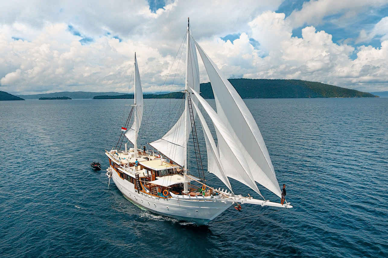 Dive Liveaboards That Include Airport Transfers In The Price of The Trip - Teman Liveaboard