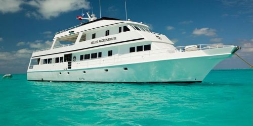Scuba Diving Liveaboards Caribbean - Belize Aggressor Liveaboard
