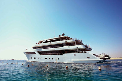 AVO Liveaboard
