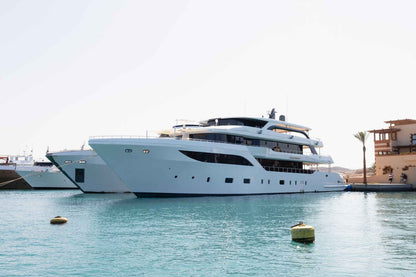 AVO Liveaboard