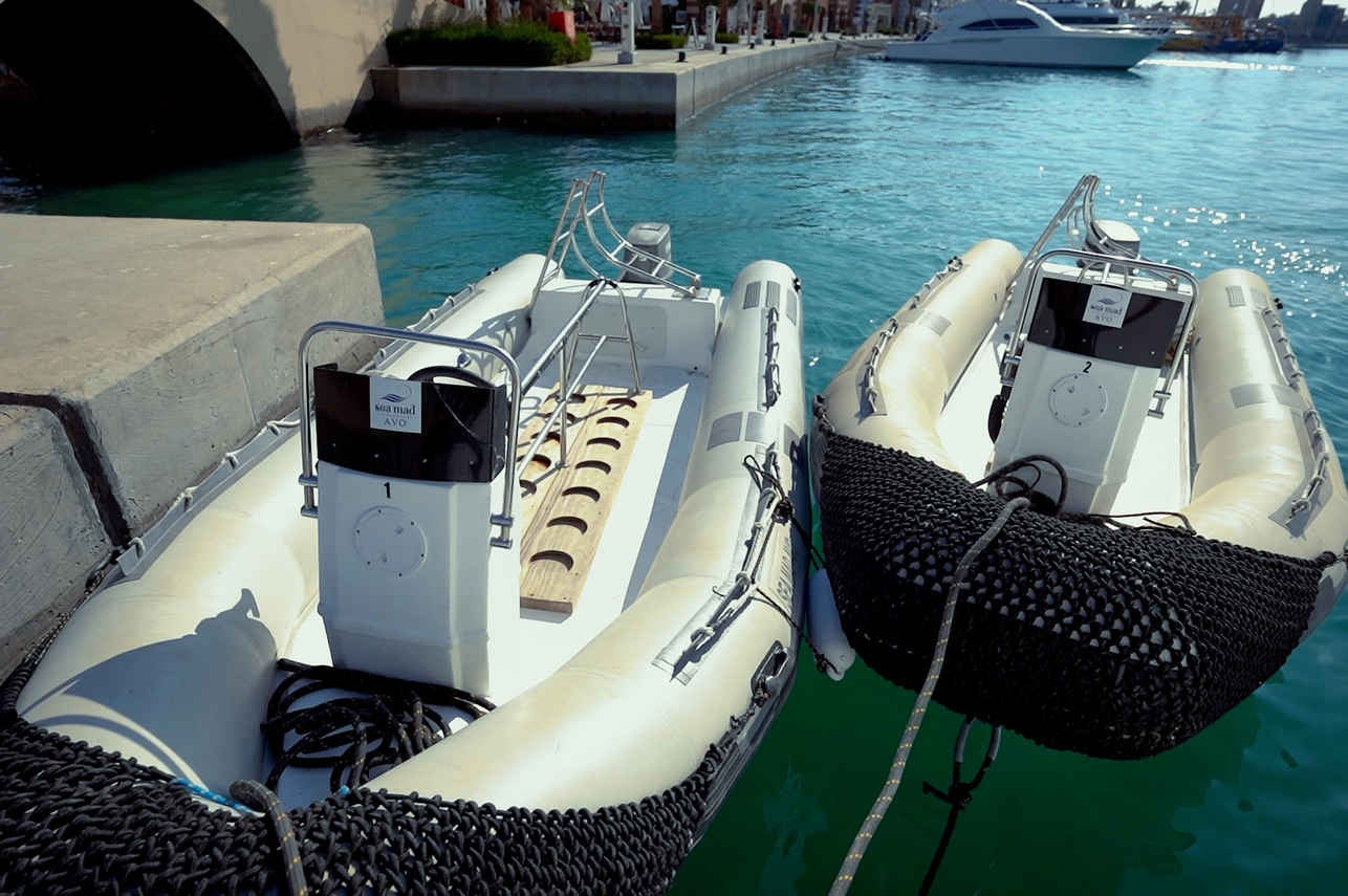 AVO Liveaboard