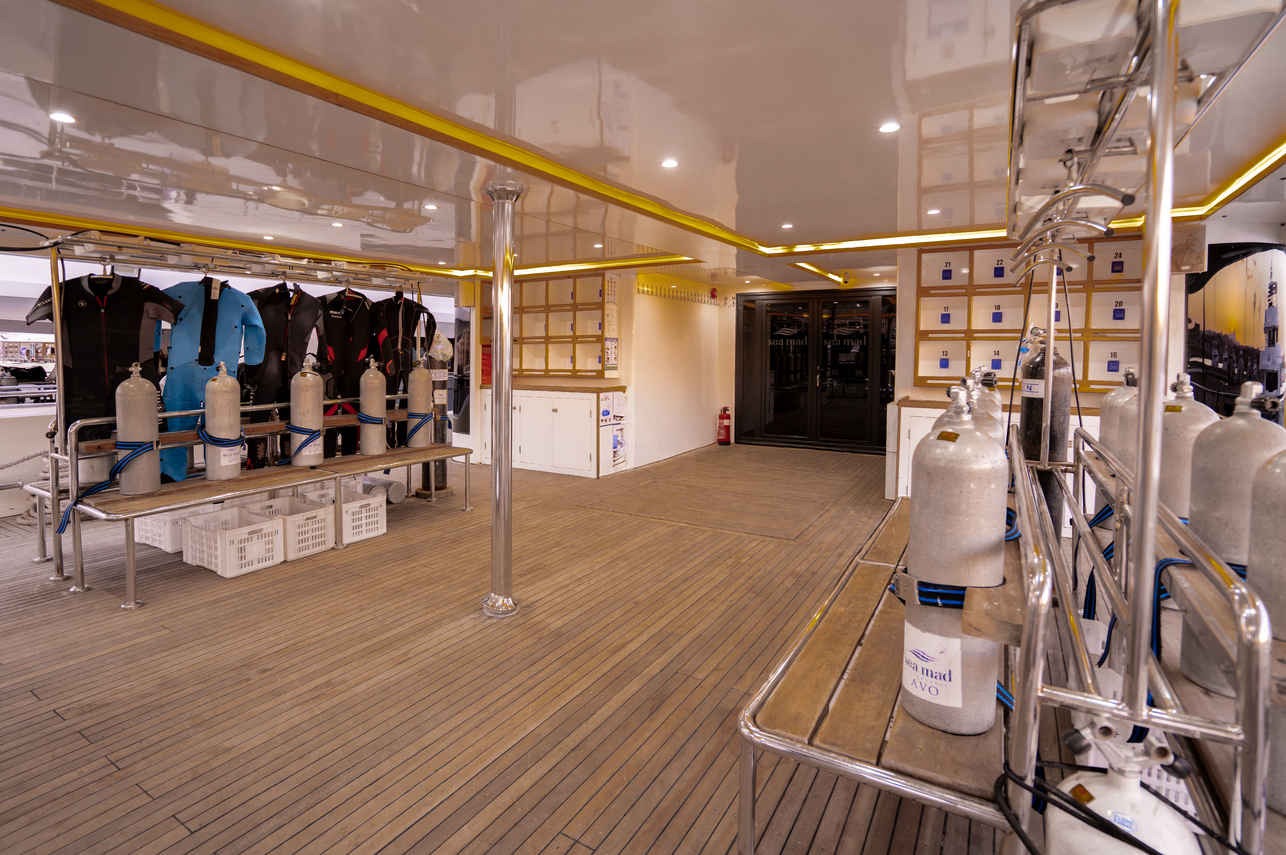 AVO Liveaboard