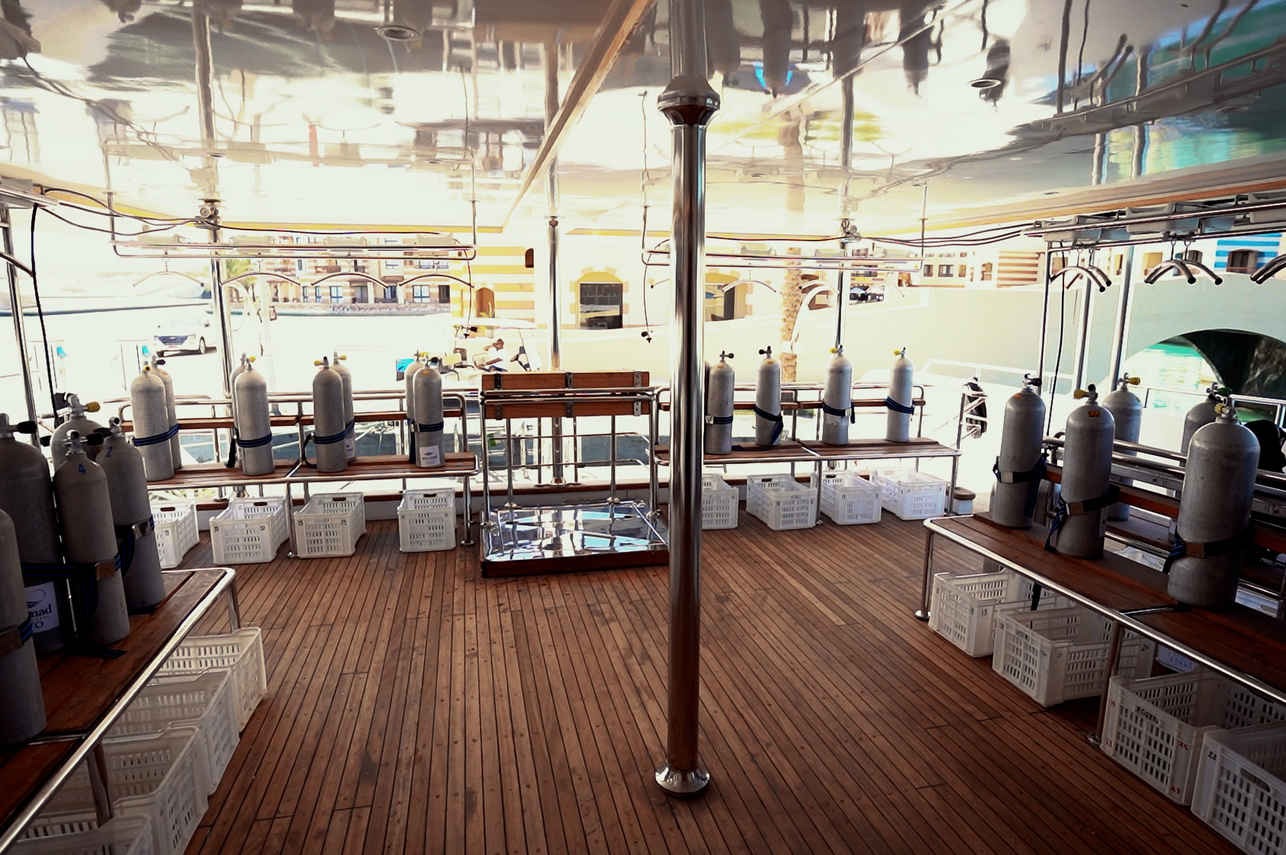 AVO Liveaboard
