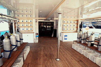 AVO Liveaboard
