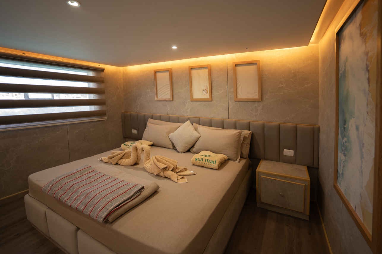 AVO Liveaboard