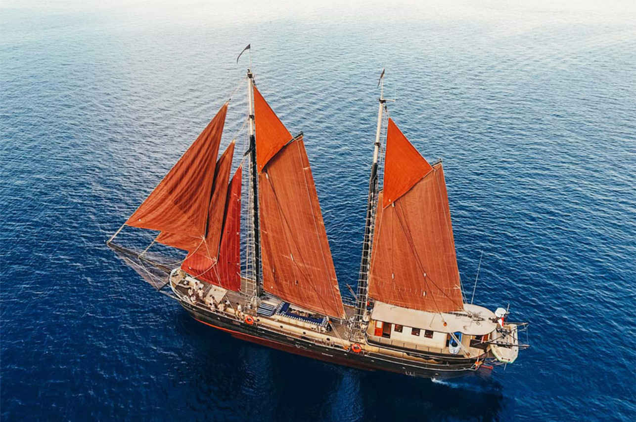 Adelaar Liveaboard