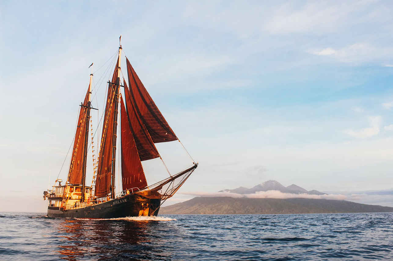 Adelaar Liveaboard
