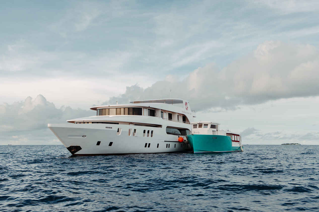 Adora Liveaboard