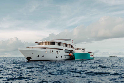 Adora Liveaboard